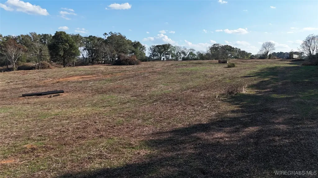 575 County Road 712 Frisco AL 36330