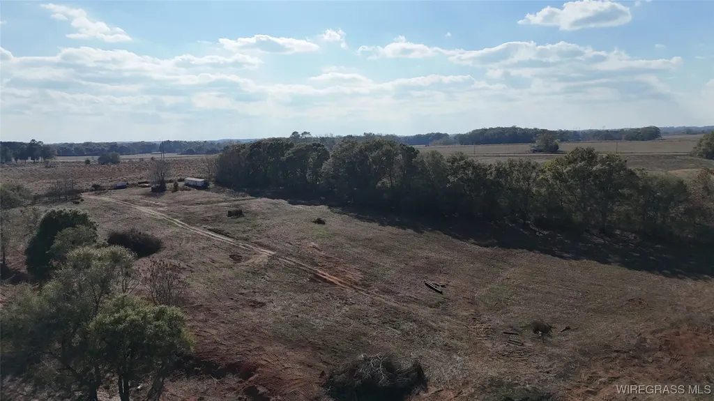 575 County Road 712 Frisco AL 36330
