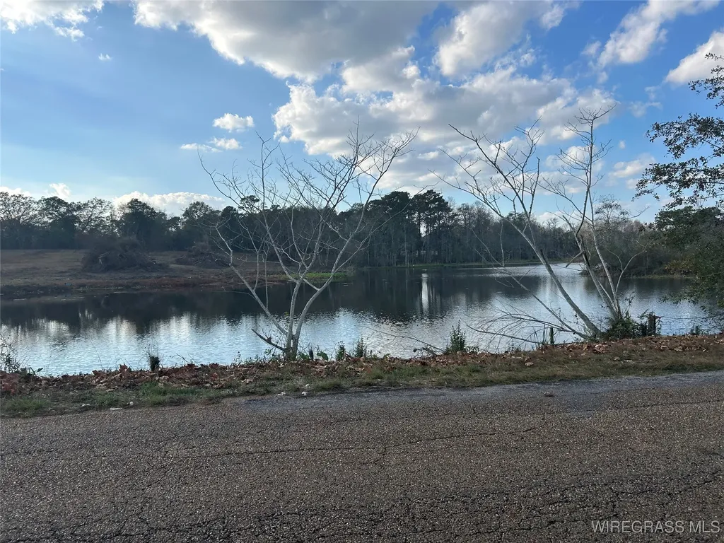 575 County Road 712 Frisco AL 36330
