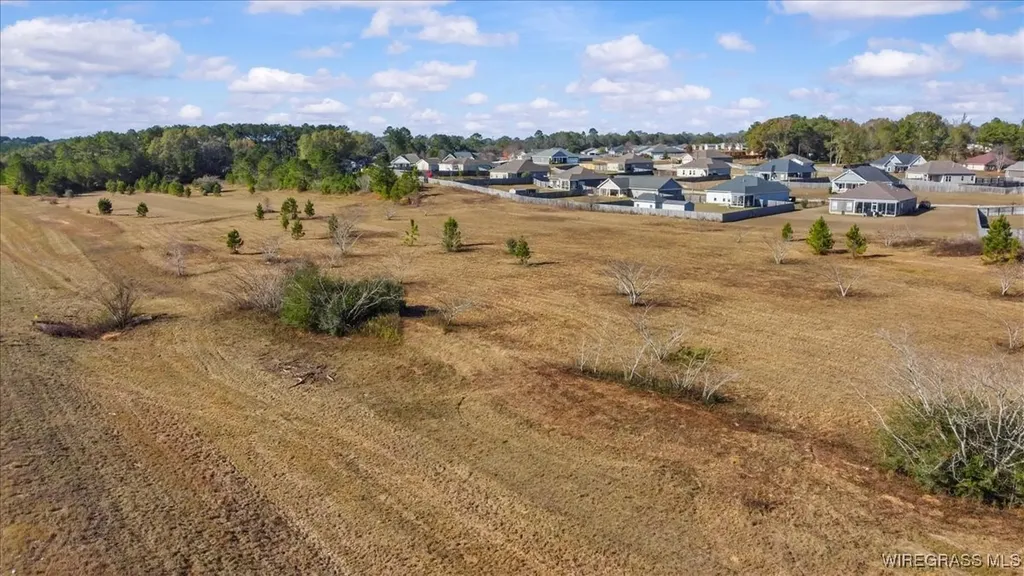 0 Highway 84 New Brockton AL 36351