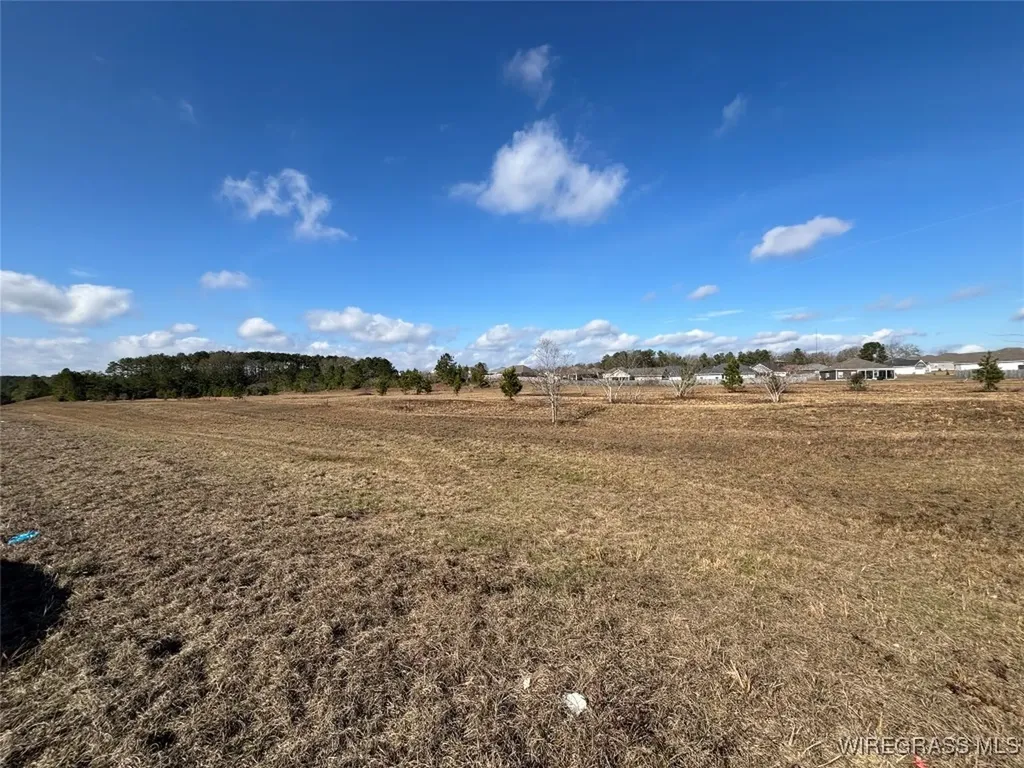 0 Highway 84 New Brockton AL 36351