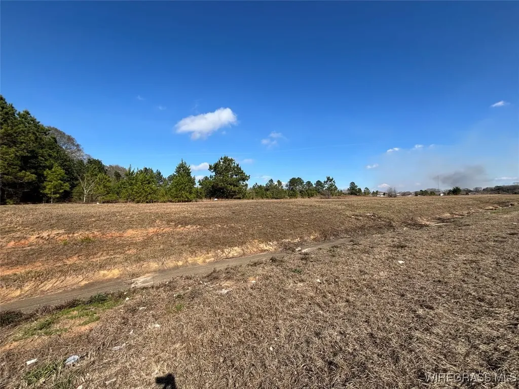 0 Highway 84 New Brockton AL 36351