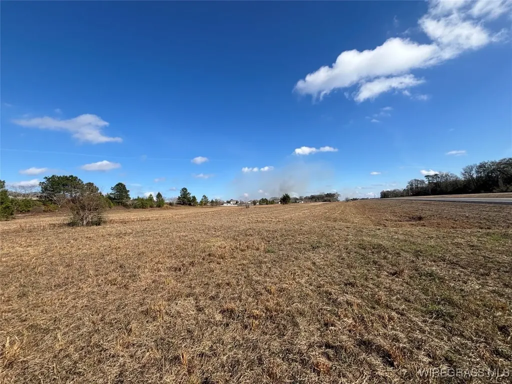 0 Highway 84 New Brockton AL 36351