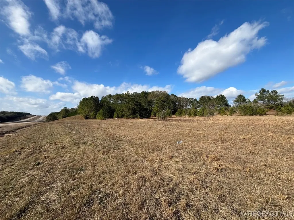 0 Highway 84 New Brockton AL 36351