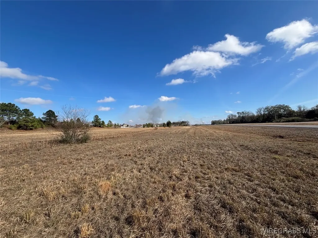 0 Highway 84 New Brockton AL 36351