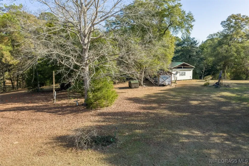 347 N Martin Street Geneva AL 36340