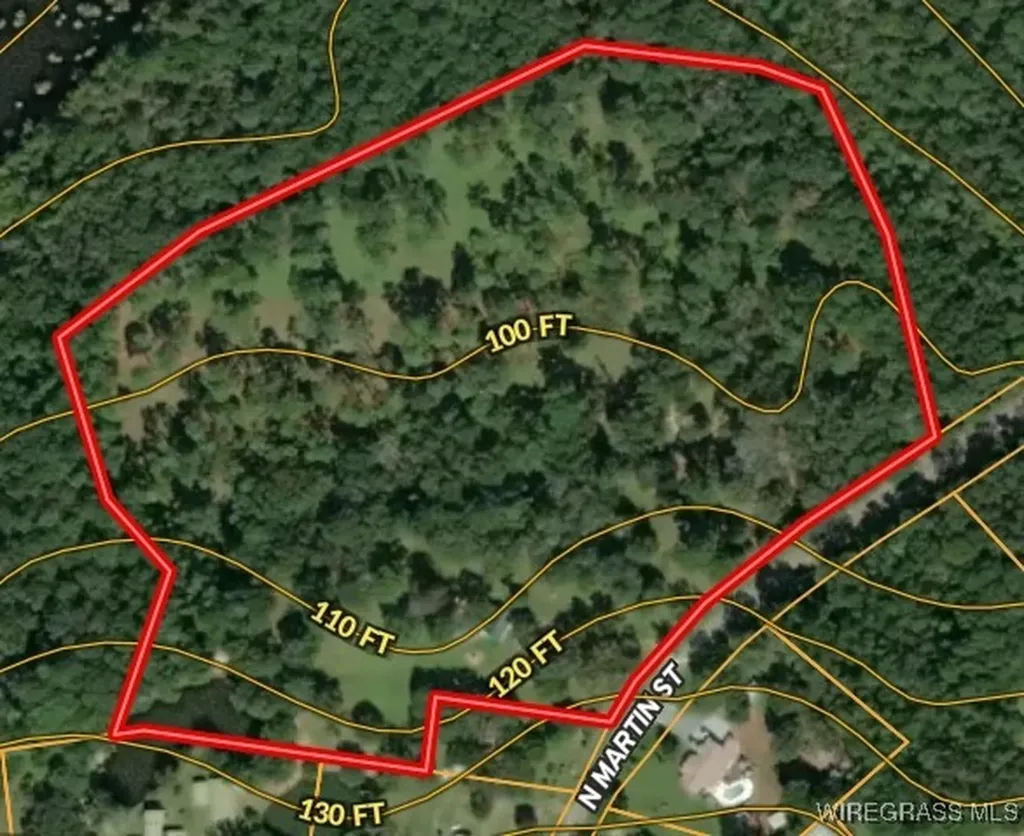347 N Martin Street Geneva AL 36340