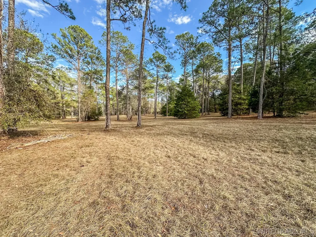 347 N Martin Street Geneva AL 36340