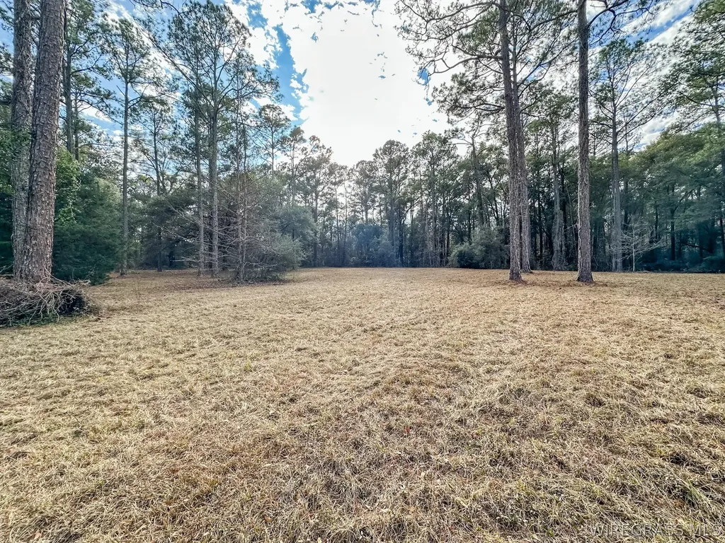 347 N Martin Street Geneva AL 36340