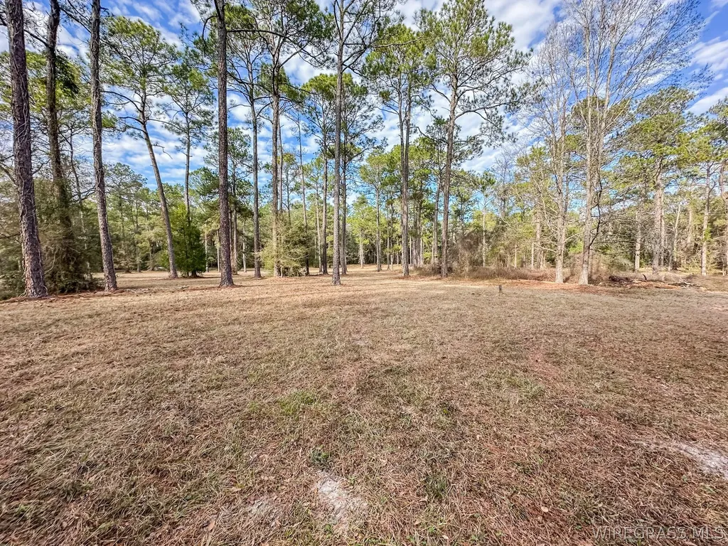 347 N Martin Street Geneva AL 36340