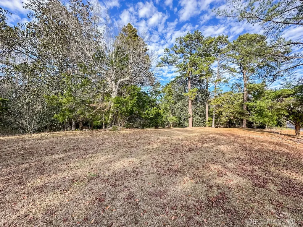347 N Martin Street Geneva AL 36340