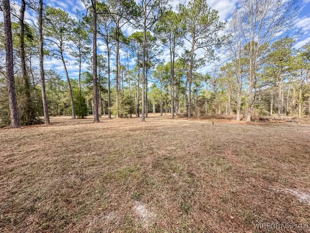 347 N Martin Street Geneva AL 36340