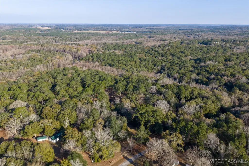347 N Martin Street Geneva AL 36340