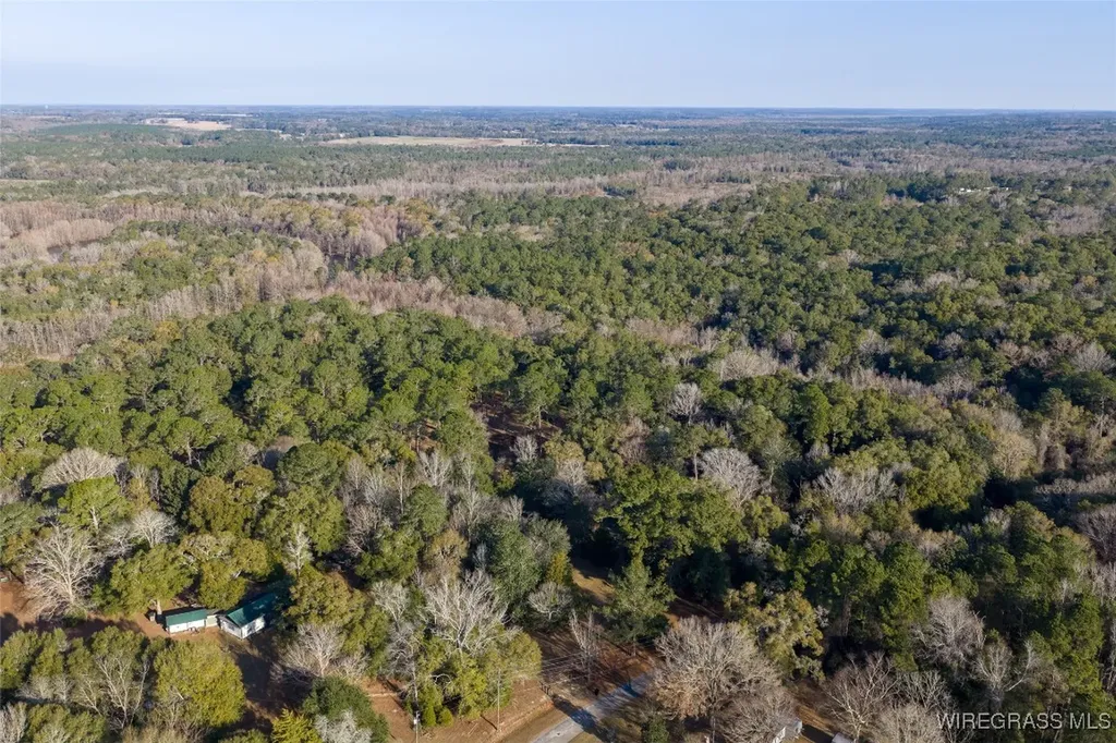 347 N Martin Street Geneva AL 36340