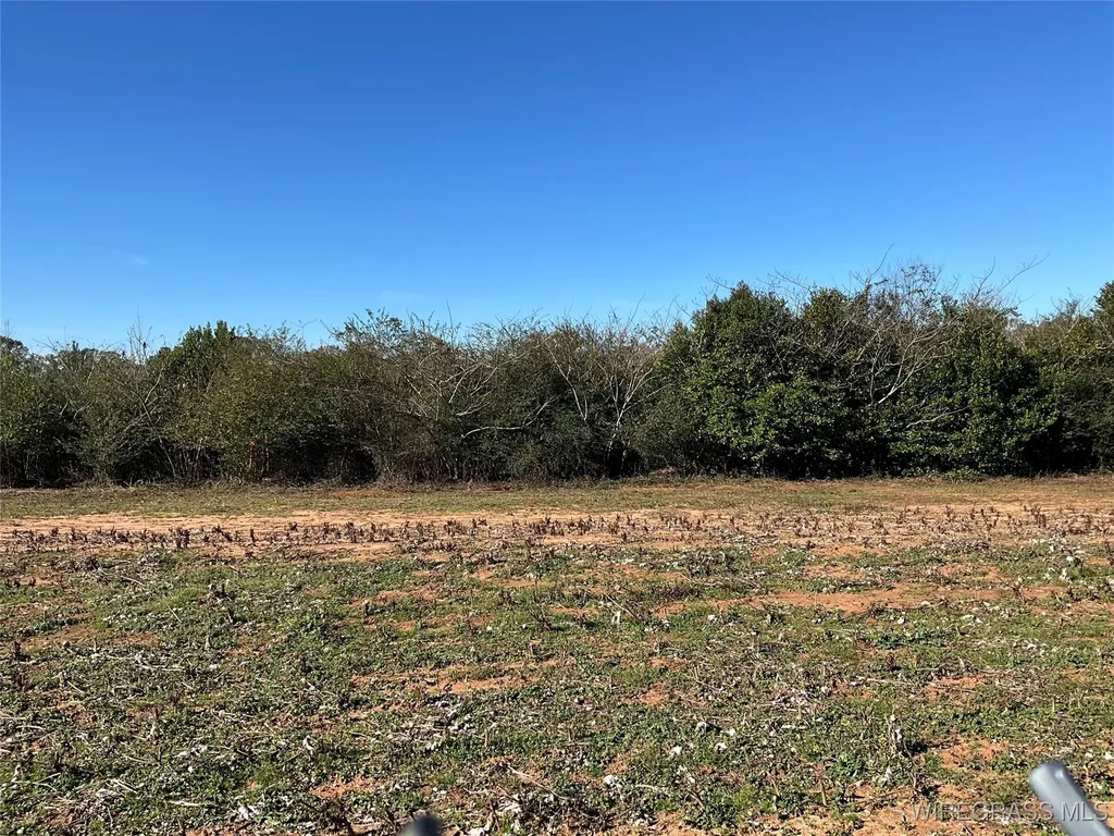 1321 County Road 712 Enterprise AL 36330