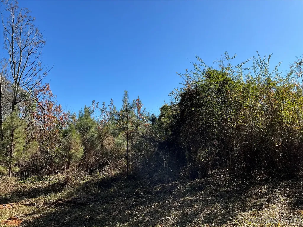 1321 County Road 712 Enterprise AL 36330