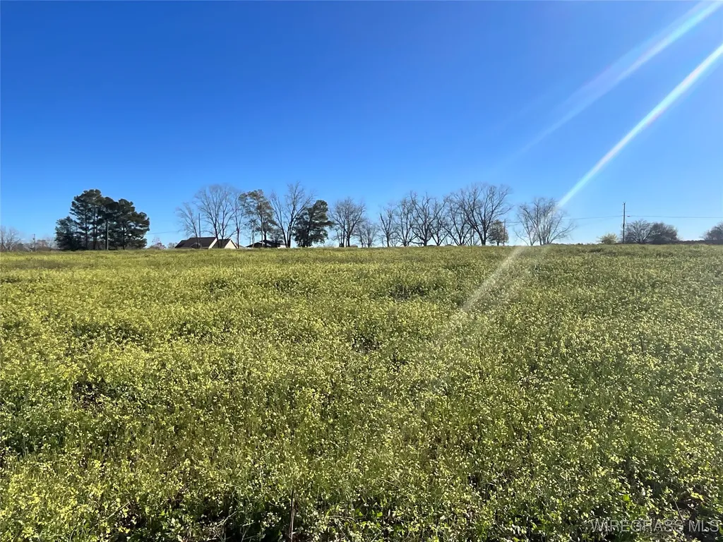 1321 County Road 712 Enterprise AL 36330