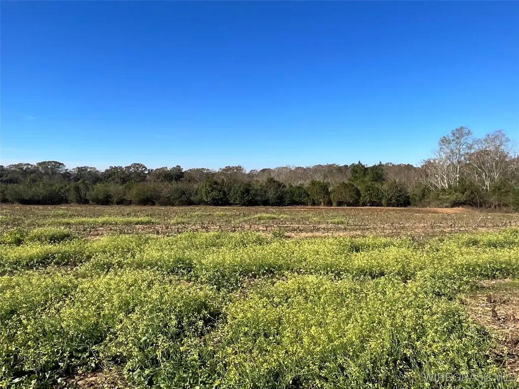 1321 County Road 712 Enterprise AL 36330