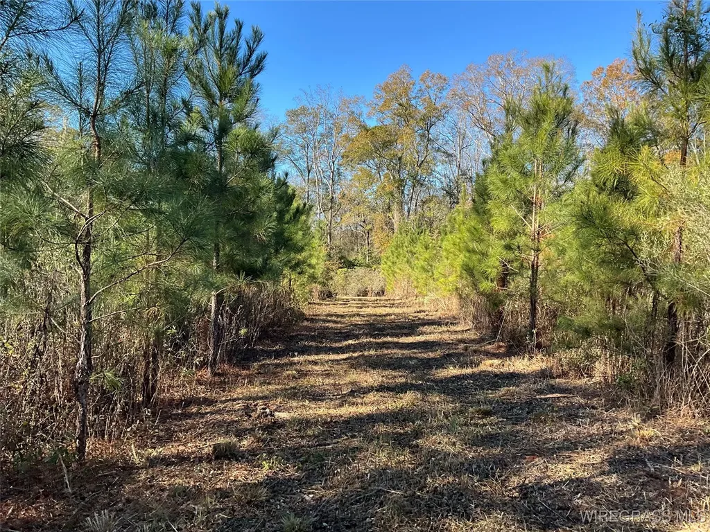 1321 County Road 712 Enterprise AL 36330