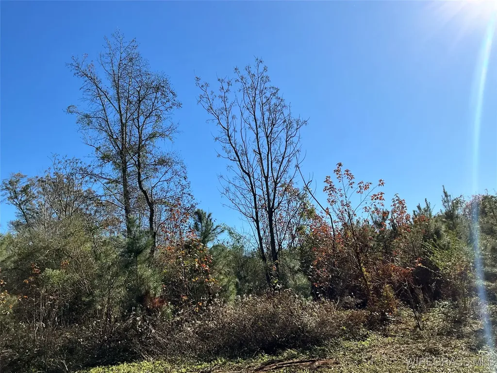 1321 County Road 712 Enterprise AL 36330