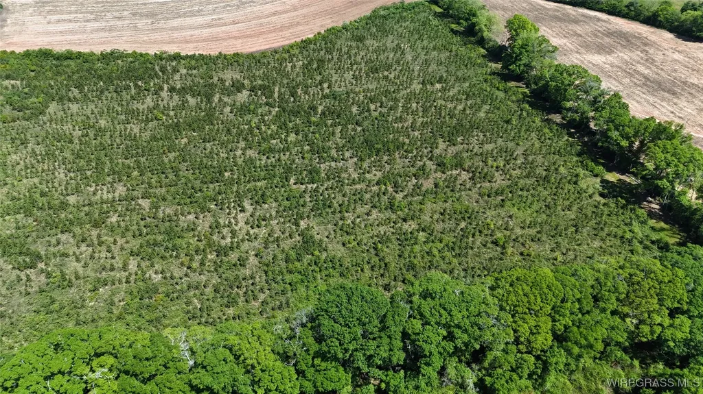 1321 County Road 712 Enterprise AL 36330