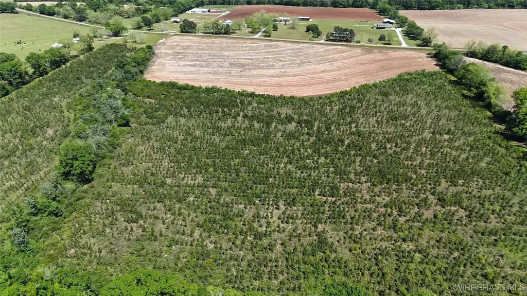 1321 County Road 712 Enterprise AL 36330