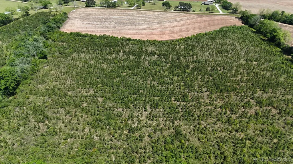 1321 County Road 712 Enterprise AL 36330