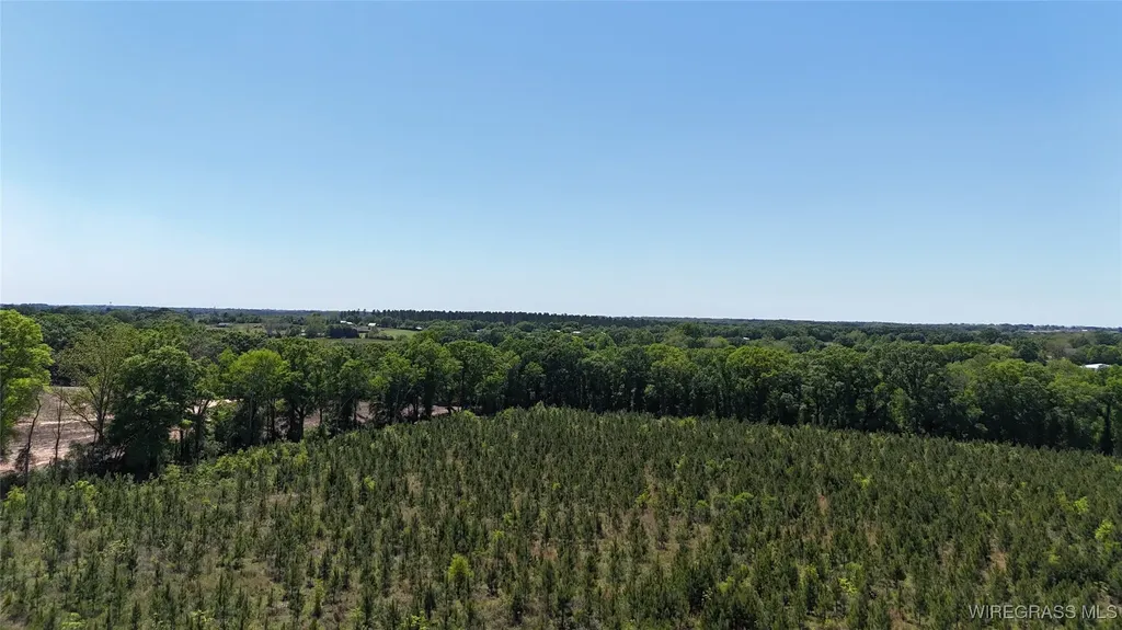 1321 County Road 712 Enterprise AL 36330