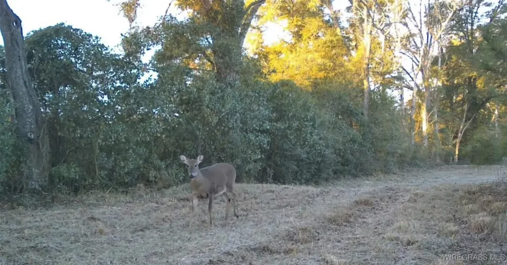 1321 County Road 712 Enterprise AL 36330