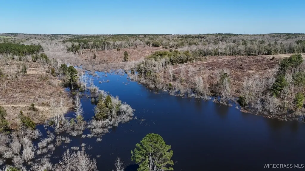 34 Ammons Pond Road Midland City AL 36350