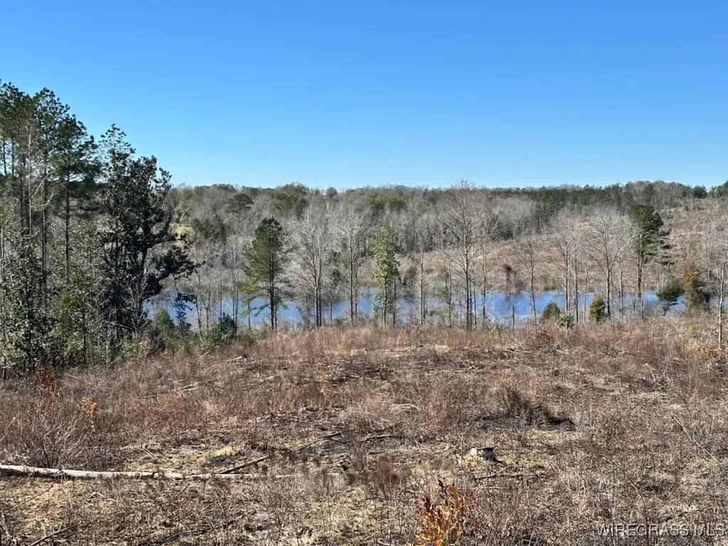 34 Ammons Pond Road Midland City AL 36350