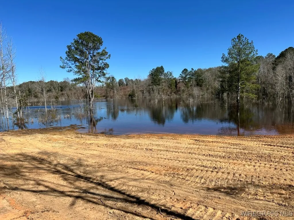 34 Ammons Pond Road Midland City AL 36350