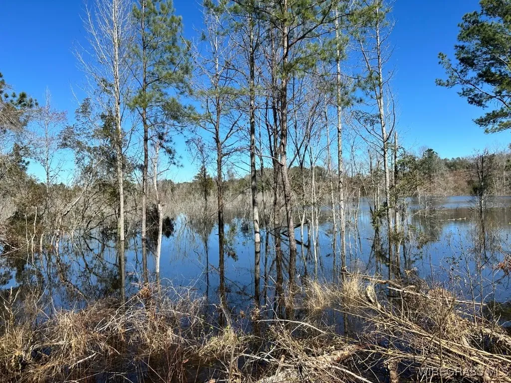 34 Ammons Pond Road Midland City AL 36350