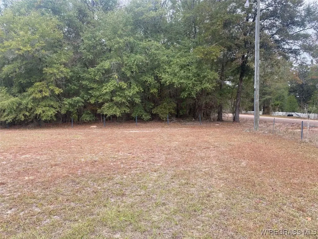 100 Gum Street Gordon AL 36301