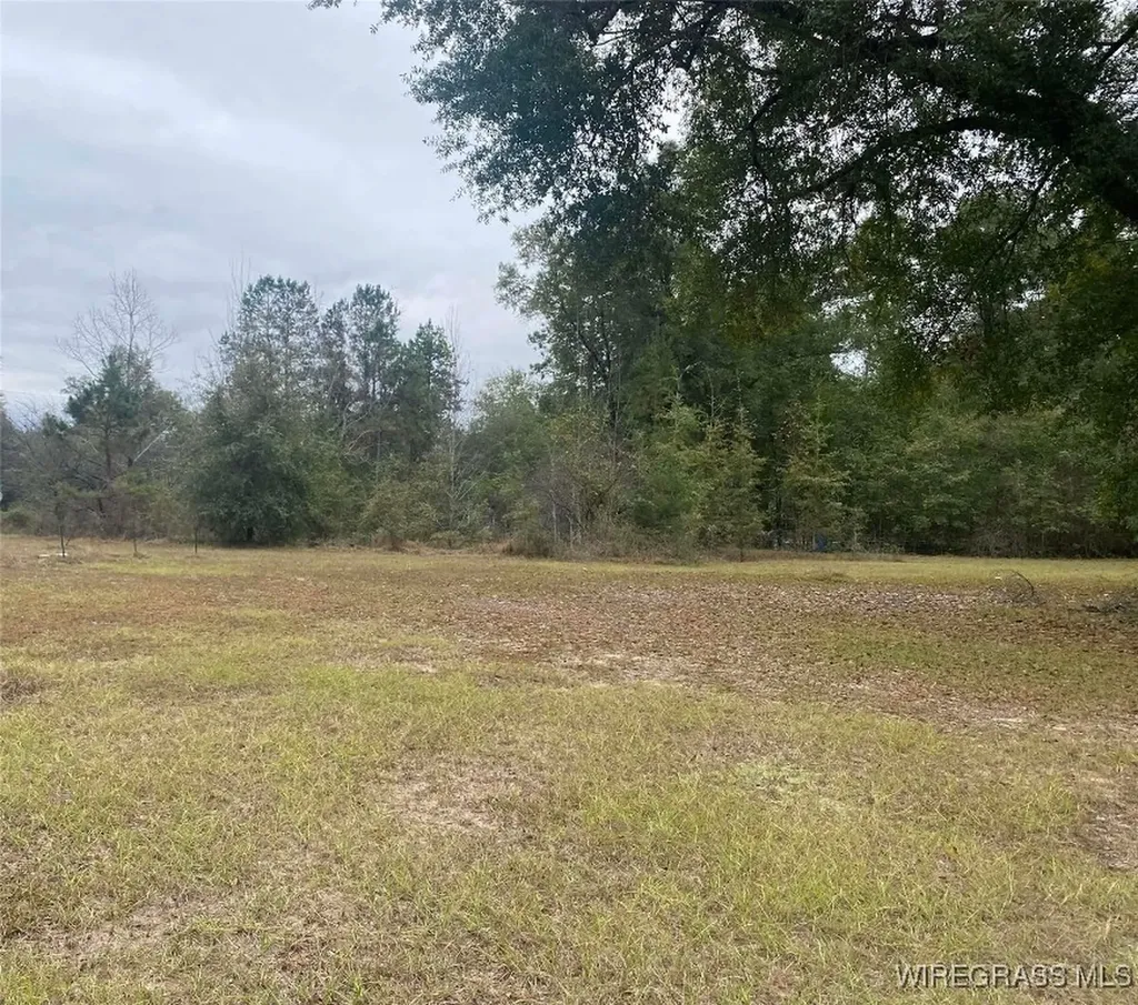 100 Gum Street Gordon AL 36301