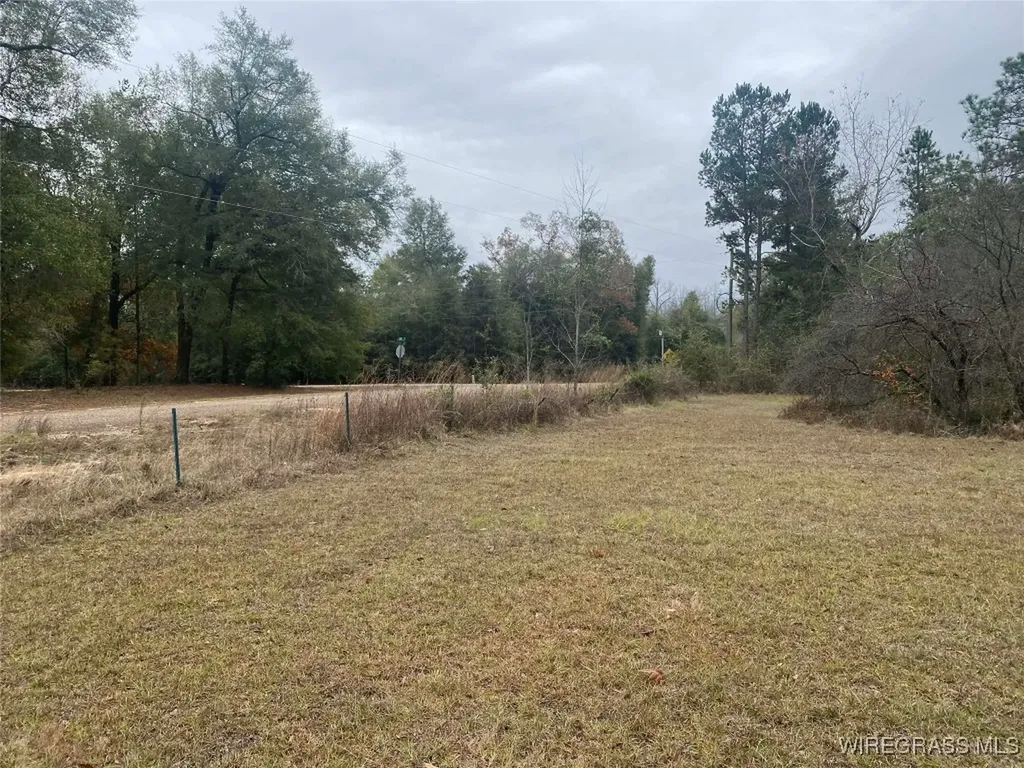 100 Gum Street Gordon AL 36301