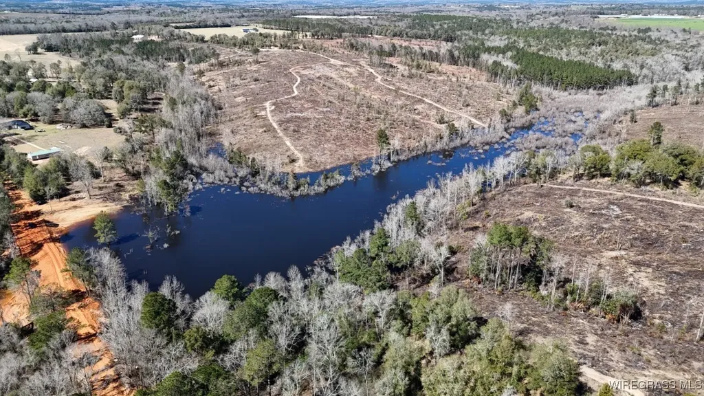 30 Ammons Pond Road Midland City AL 36350