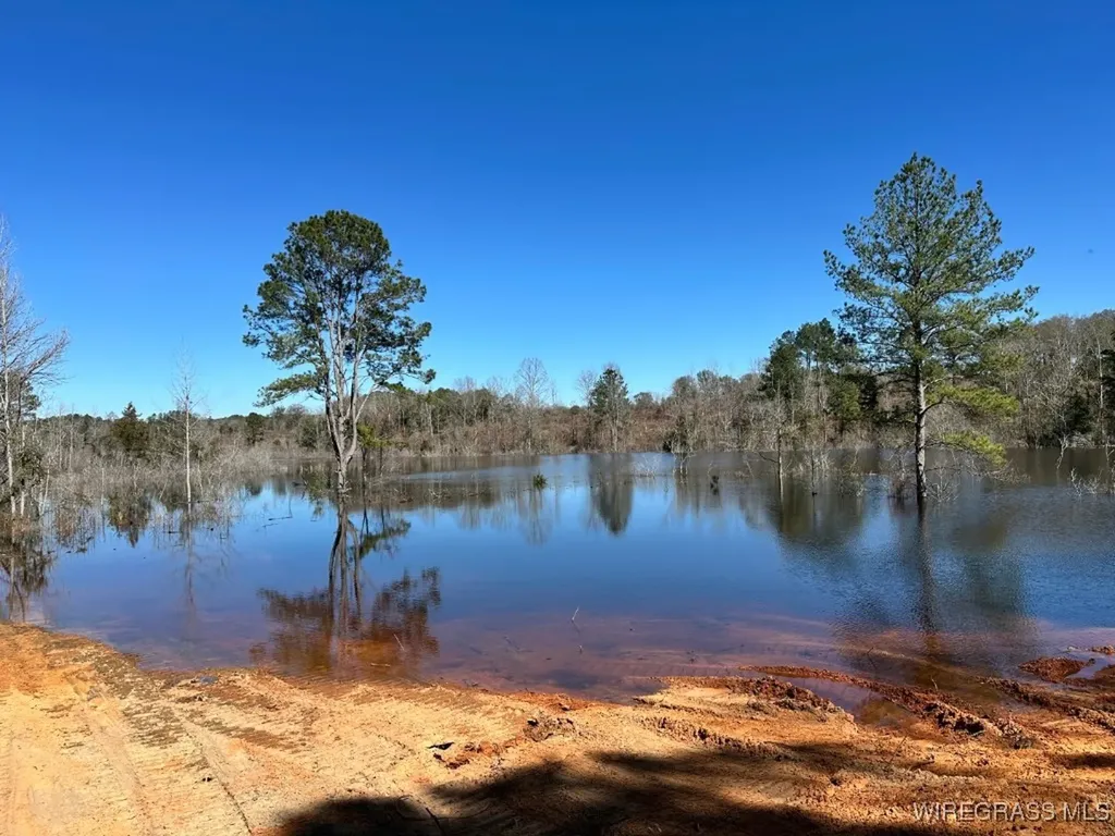 30 Ammons Pond Road Midland City AL 36350