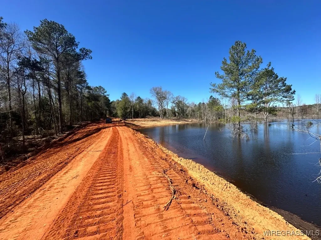 30 Ammons Pond Road Midland City AL 36350