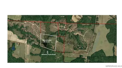 30 Ammons Pond Road Midland City AL 36350
