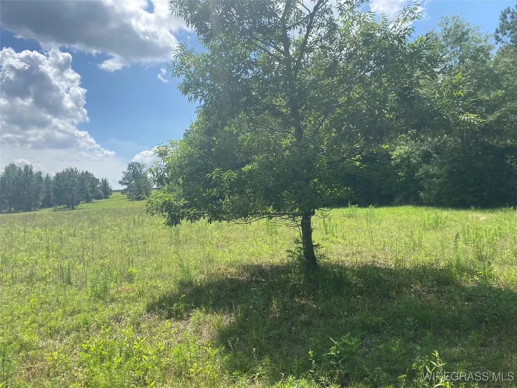 4010 County Road 708 Enterprise AL 36330