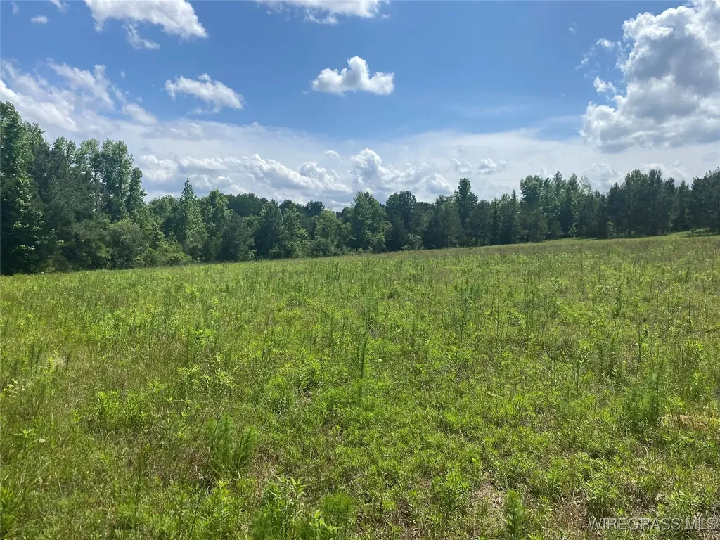 4010 County Road 712 Road Enterprise AL 36330