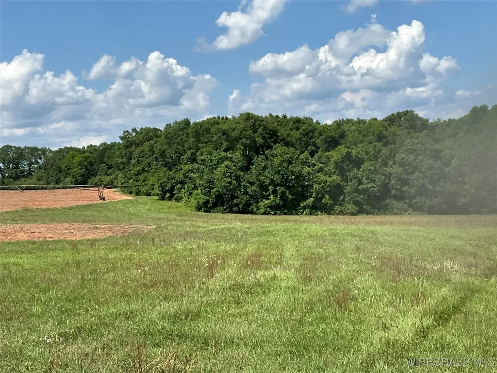 4010 County Road 708 Enterprise AL 36330