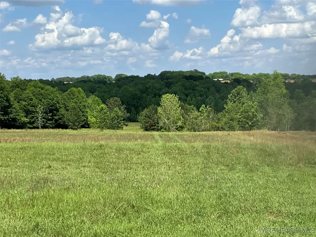 4010 County Road 708 Enterprise AL 36330