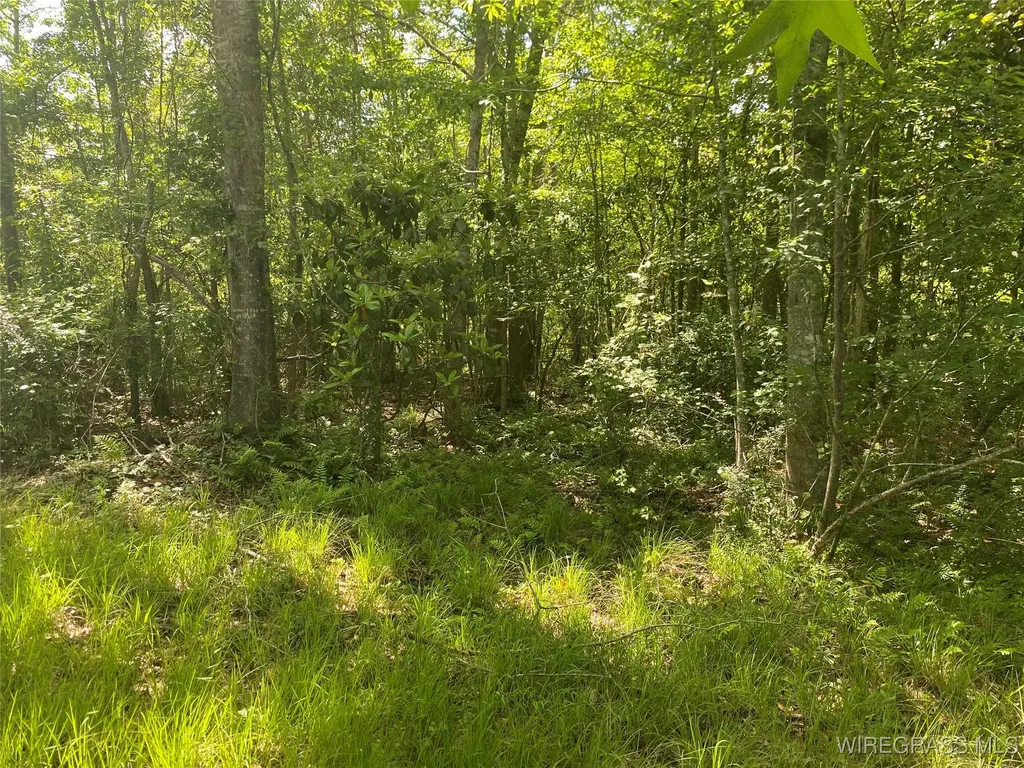 4010 County Road 708 Enterprise AL 36330