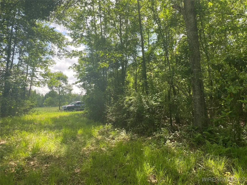 4010 County Road 712 Road Enterprise AL 36330