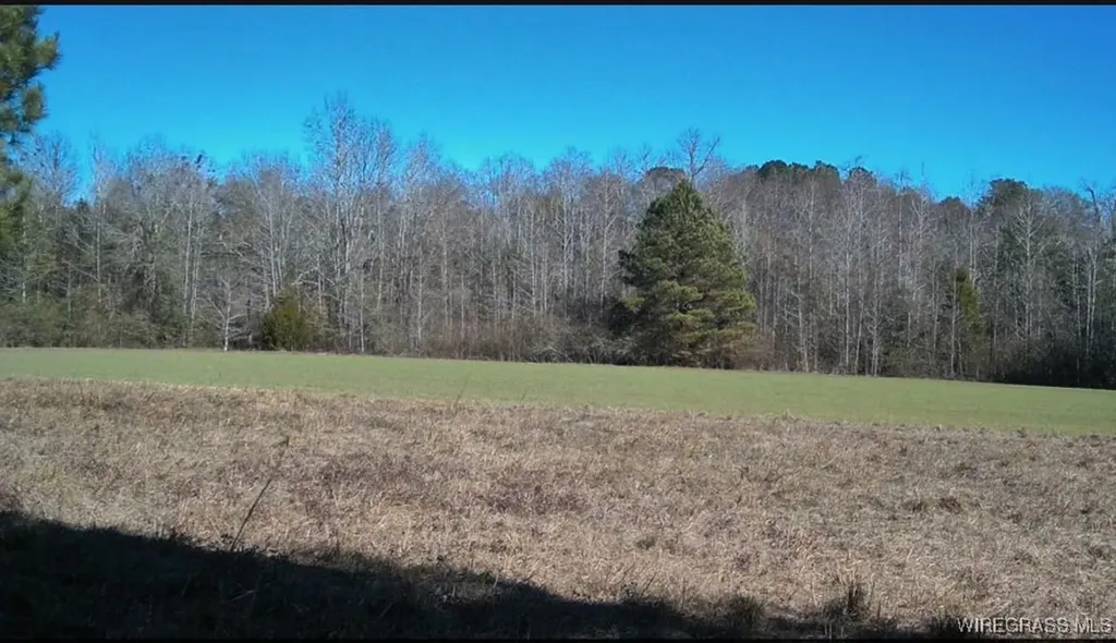 4010 County Road 712 Road Enterprise AL 36330