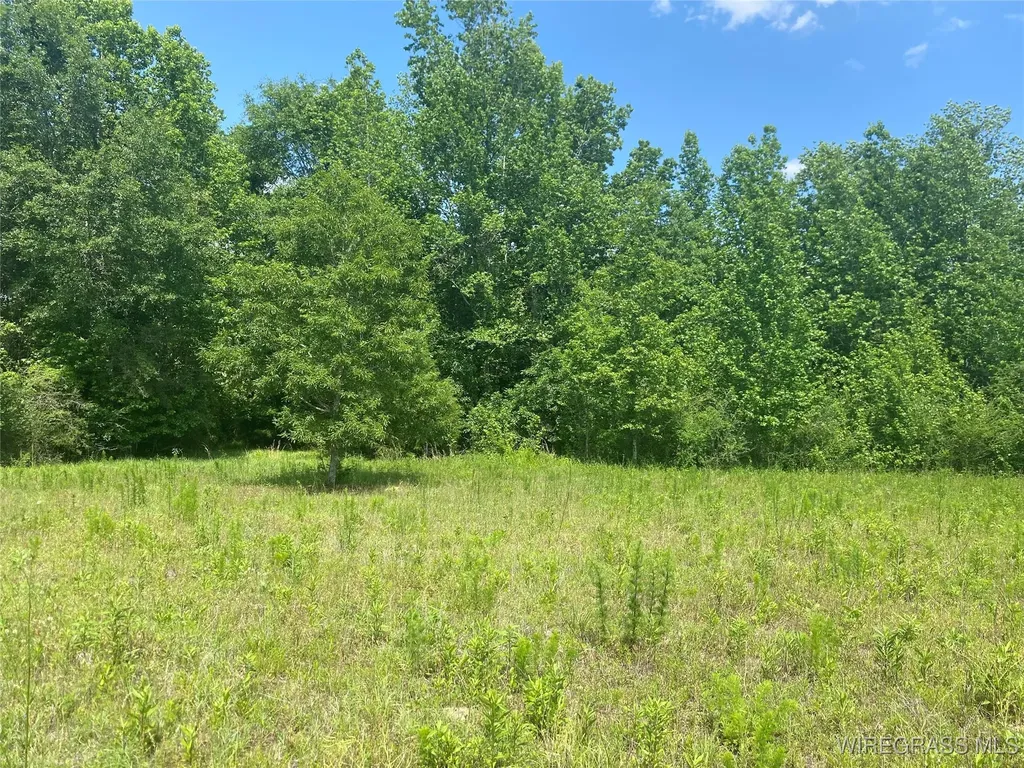 4010 County Road 708 Enterprise AL 36330