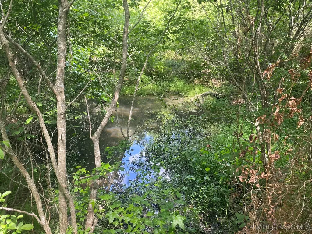 4010 County Road 708 Enterprise AL 36330