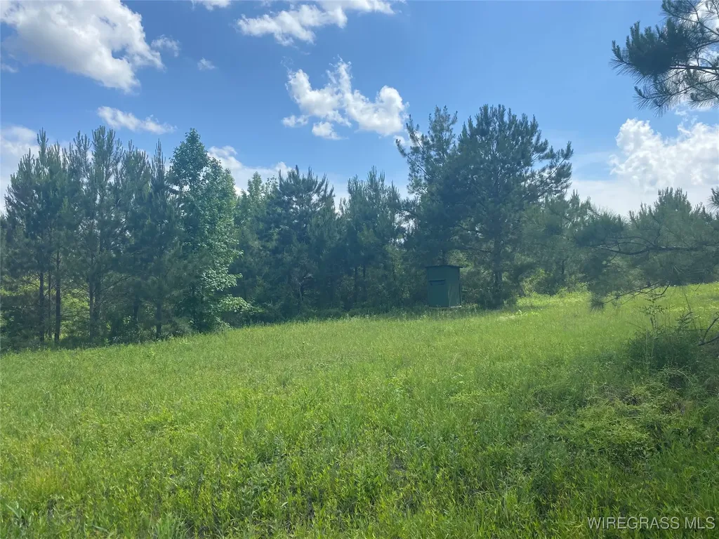 4010 County Road 708 Enterprise AL 36330